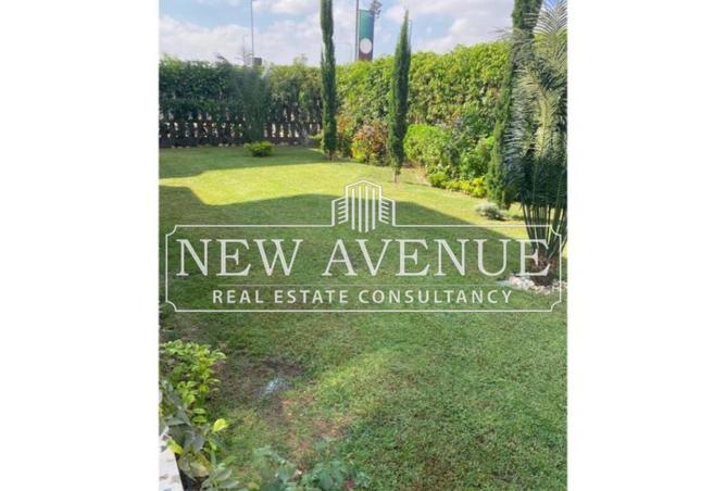 8163385 - صورة العقار 2