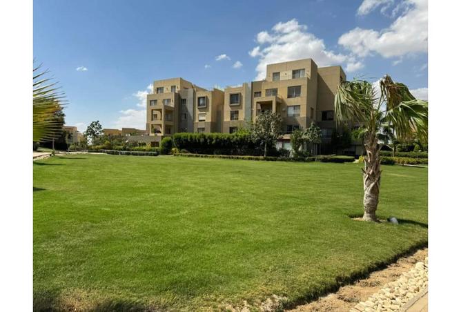 7994351 - الصورة الرئيسية للعقار