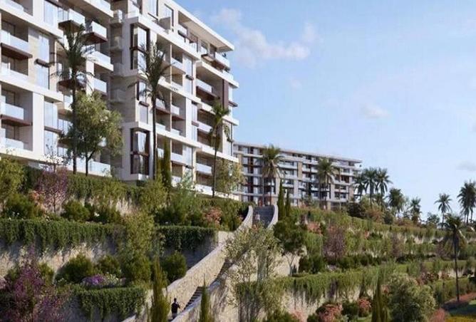 8453869 - Property Image 3