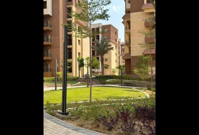 8445432 - صورة العقار 3