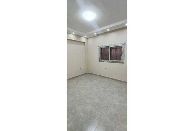 8182864 - Property Image 3