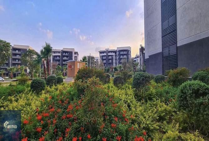 8522368 - الصورة الرئيسية للعقار