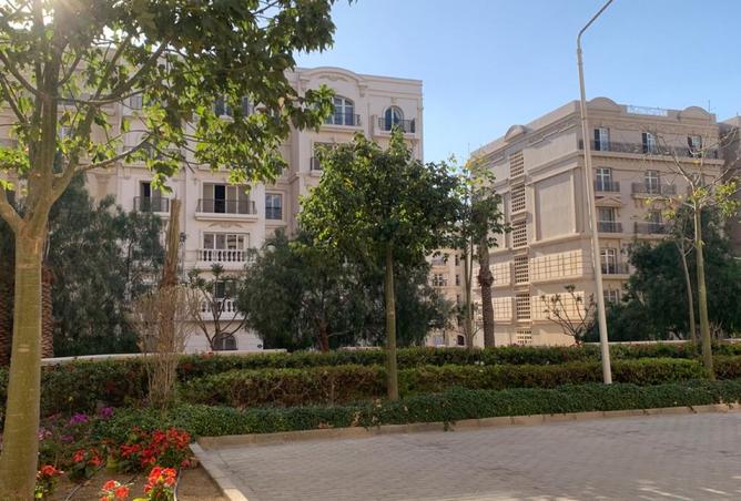 8207687 - صورة العقار 3