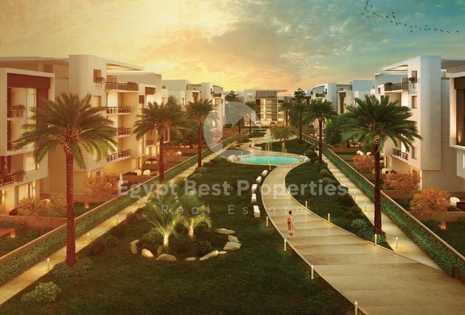 7895669 - Property Image 3