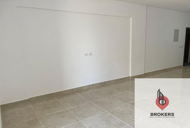 8167633 - Property Image 3