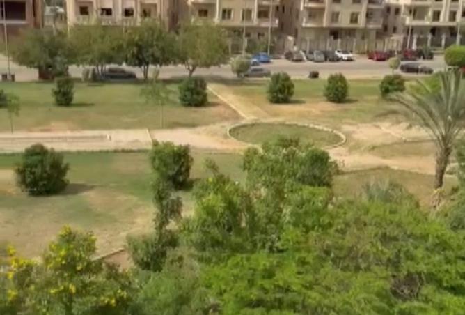 8183763 - صورة العقار 3