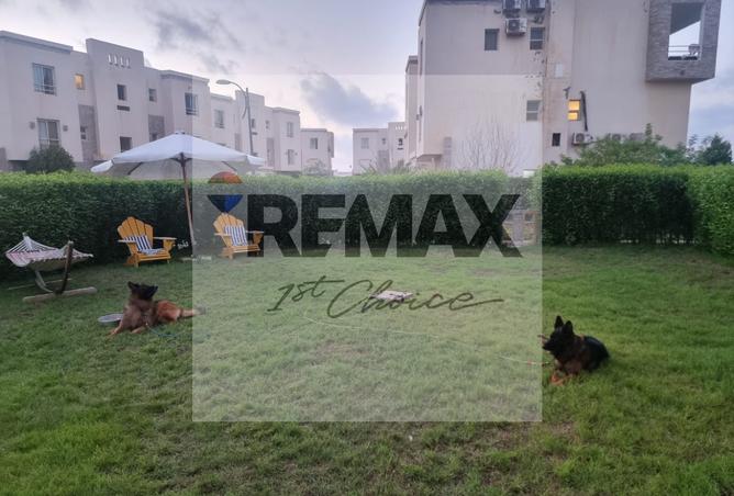 7334289 - صورة العقار 3