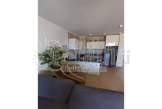 8203571 - صورة العقار 2