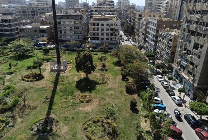 8194108 - صورة العقار 3