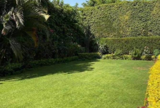 8417670 - صورة العقار 3