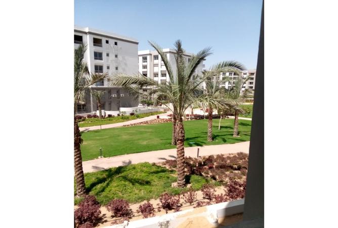 7966872 - صورة العقار 2