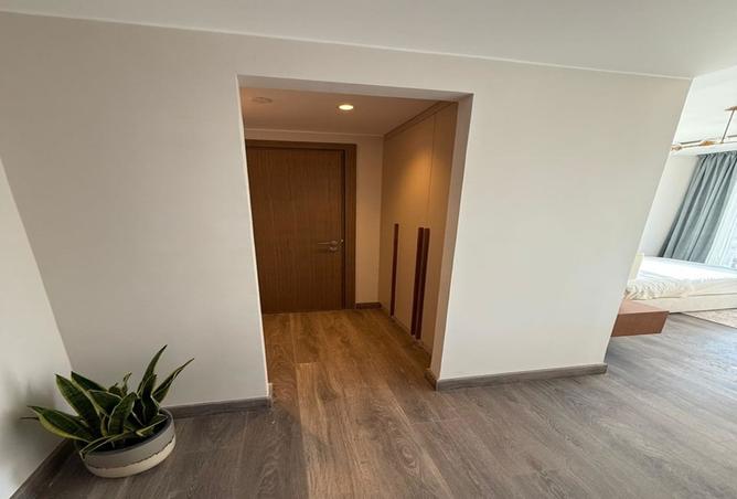 7991699 - Property Image 3