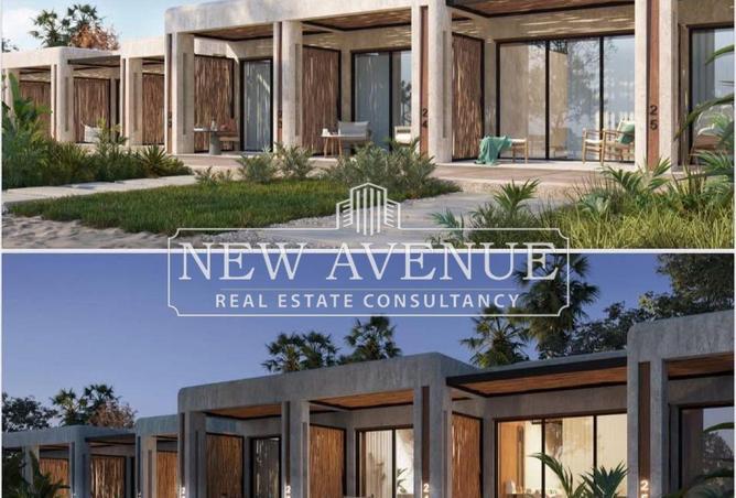 8339620 - Property Image 3