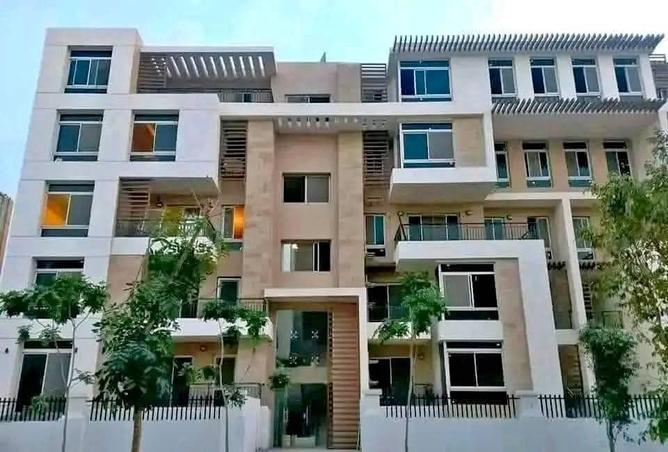 7973970 - Property Image 2