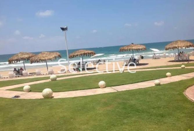 8002609 - صورة العقار 2