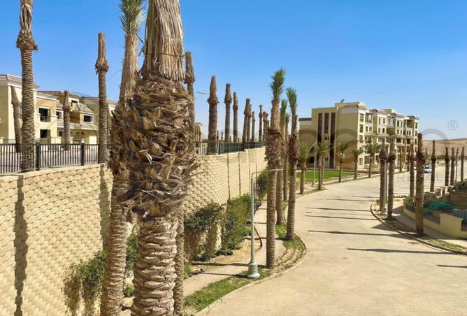 8132233 - Property Image 3