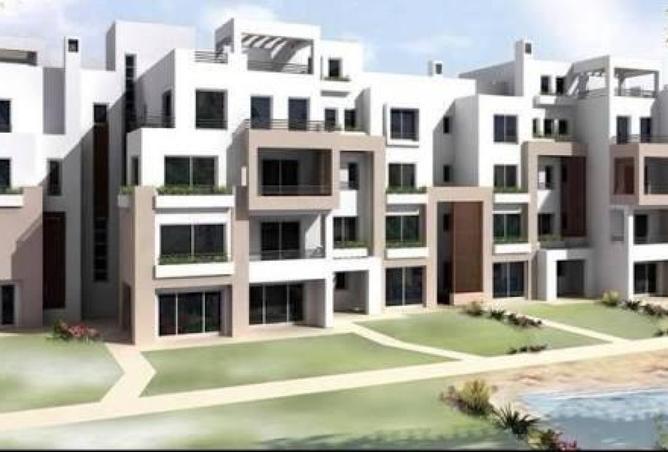 8328523 - Property Image 3