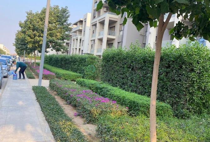 8548090 - Property Image 3