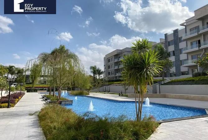 8264239 - Property Image 3