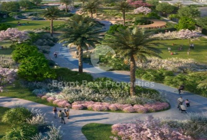 8203034 - صورة العقار 3