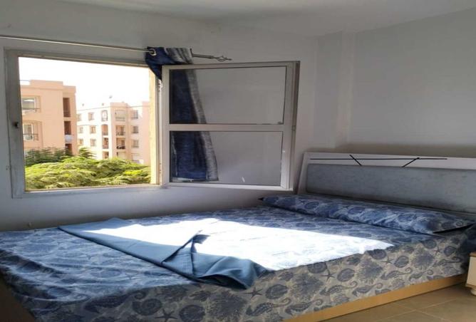 7953204 - صورة العقار 3