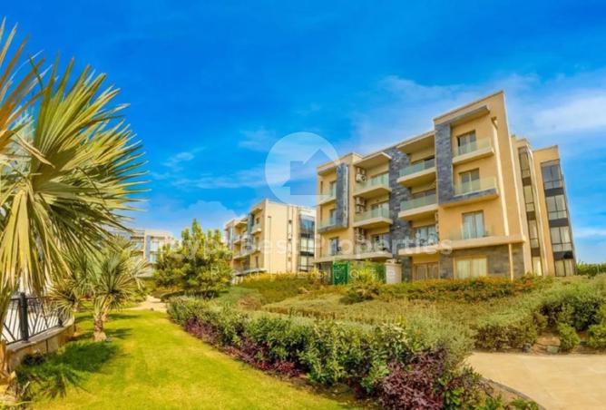 8311374 - Property Image 3