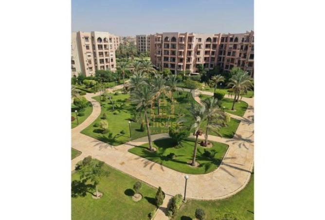 8167434 - Property Image 3