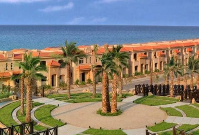 8328011 - صورة العقار 2