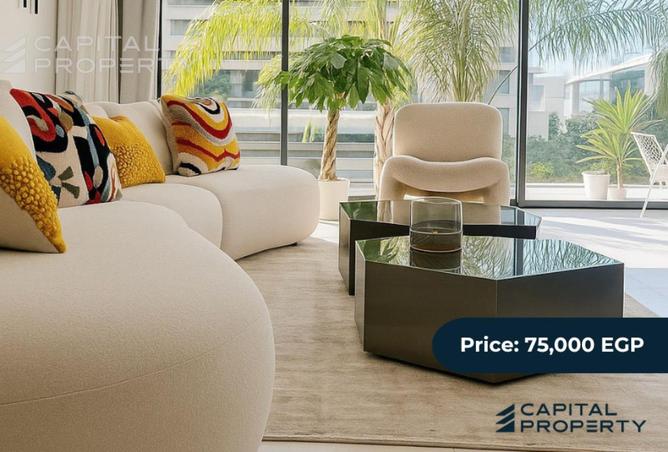 8262817 - Property Image 2