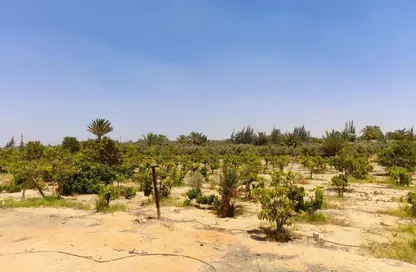 Land - Studio for sale in Green Revolution - Sheikh Zayed Compounds - Sheikh Zayed City - Giza