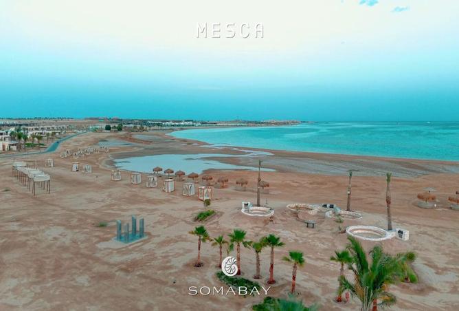 8017288 - صورة العقار 2