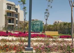 Apartment - 3 bedrooms - 3 bathrooms for للبيع in Palm Parks   Palm Hills - South Dahshur Link - 6 October City - Giza