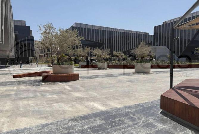 8526994 - Property Image 2