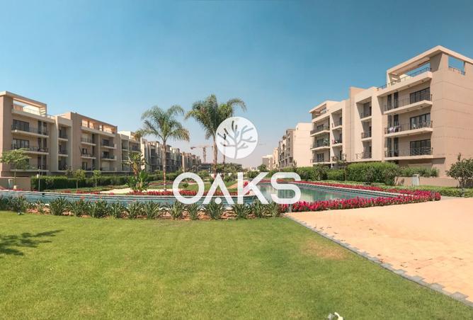 8089317 - Property Image 3
