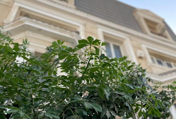 8277923 - Property Image 2