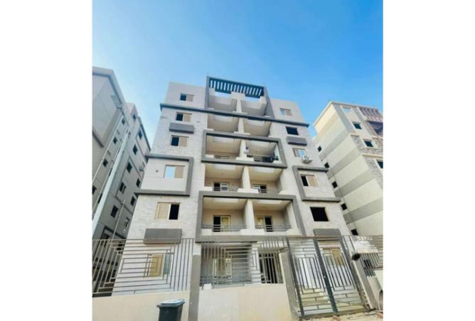 8223293 - Property Image 3