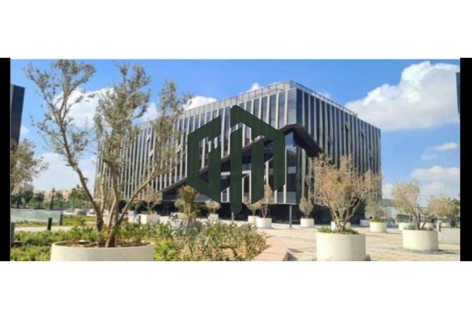 7872802 - الصورة الرئيسية للعقار