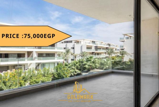 8355378 - Property Image 2