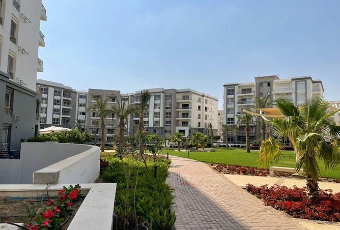 8047833 - Property Image 3