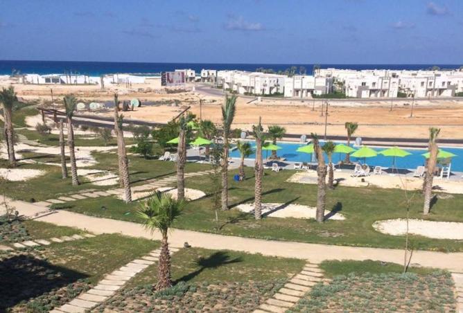 8283301 - الصورة الرئيسية للعقار