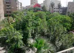Office Space - Studio - 1 Bathroom for rent in Street 250 - Degla - Hay El Maadi - Cairo
