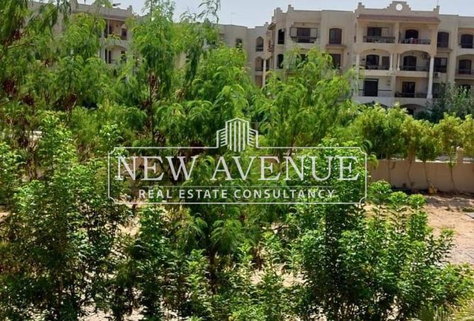 8193841 - Property Image 3