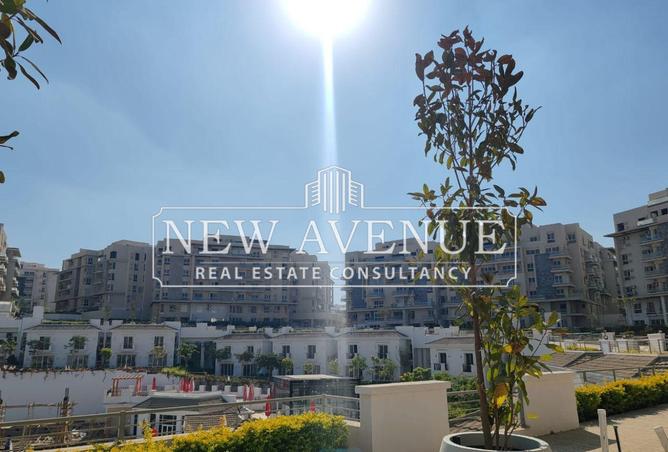 8376707 - Property Image 2