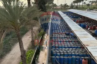 مزرعة - استوديو للبيع في مارينا دلتا - بلطيم - البرلس - كفر الشيخ