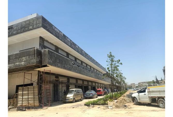 7913857 - صورة العقار 2