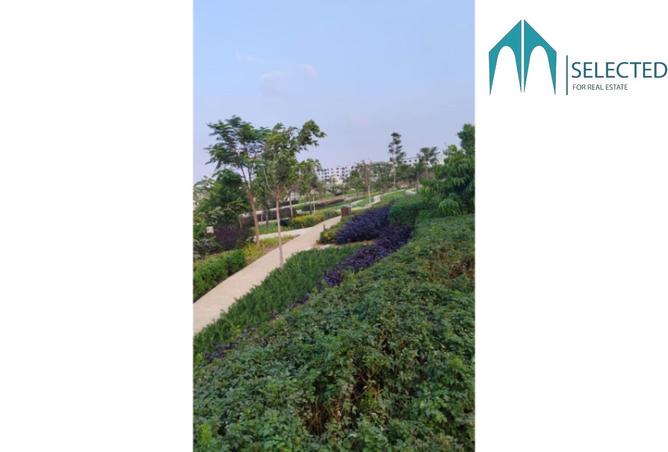 8448434 - Property Image 2