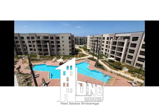 8127478 - Property Image 3