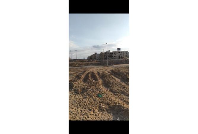 8174638 - صورة العقار 3