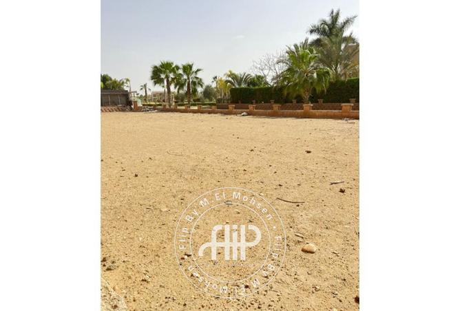 8115453 - صورة العقار 3