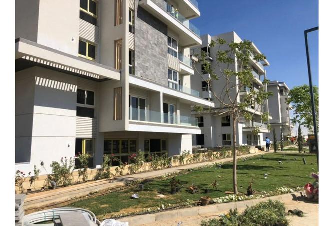 8474530 - Property Image 3